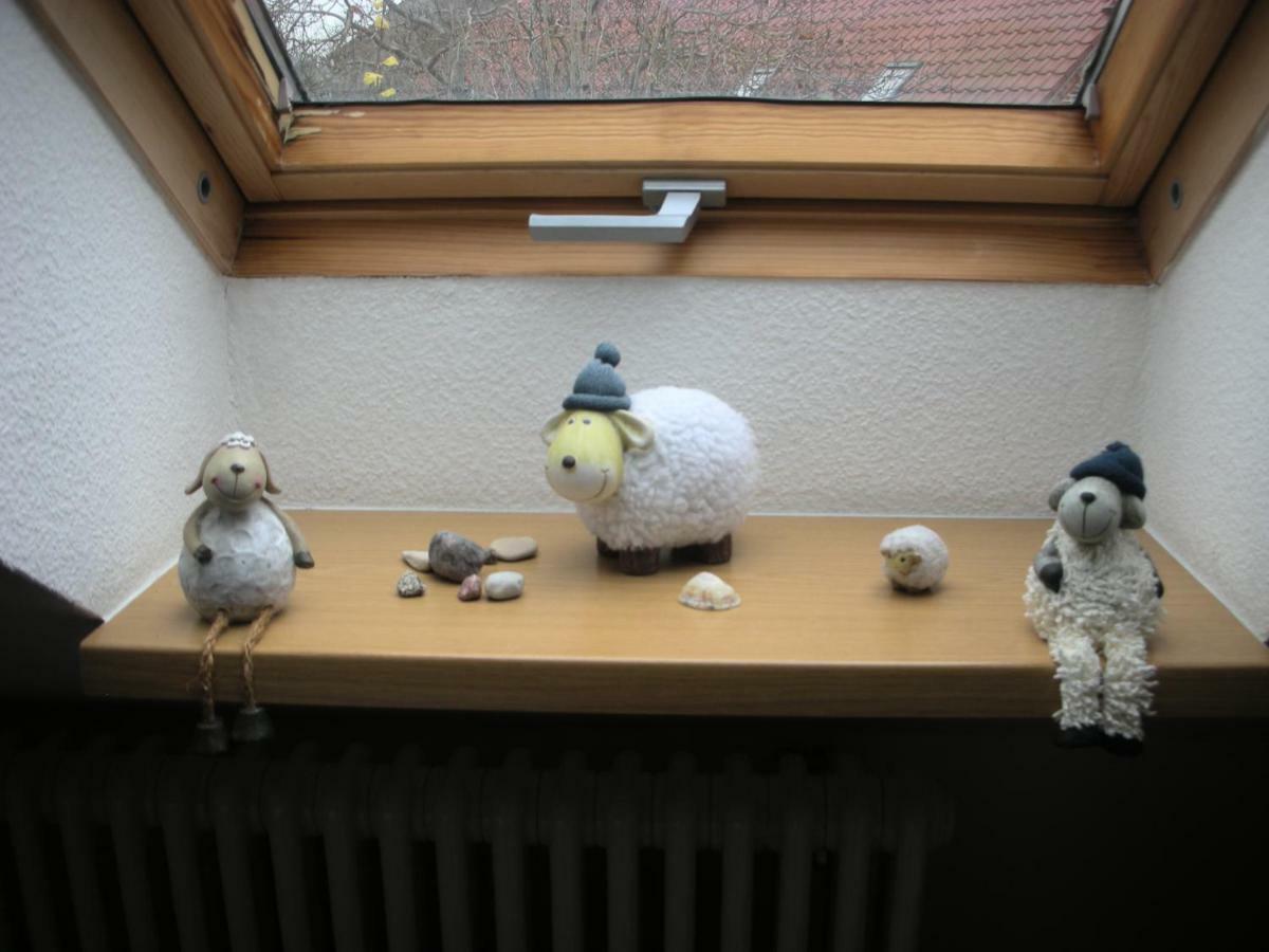 Apartment Seeadler Mit Balkon Dewichow Eksteriør billede